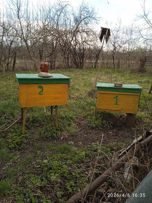 Продам вулики б/в в хорошому стані