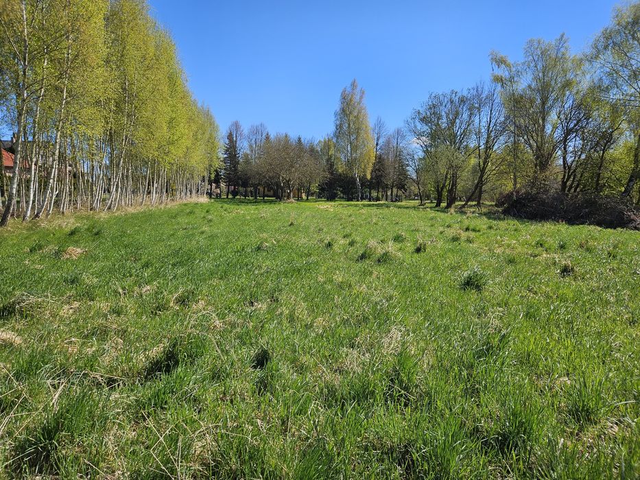 Działka Trzebież