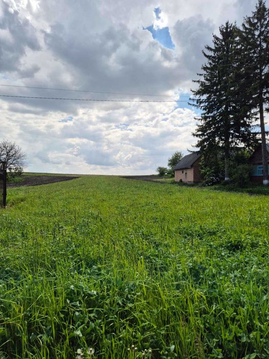 Продаж  земельної ділянки