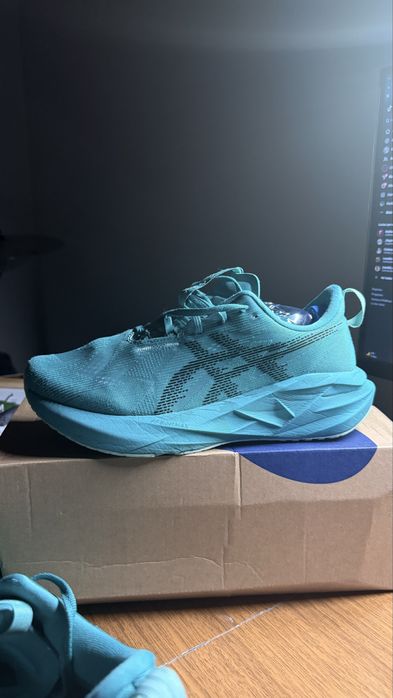 Asics Novablast 5 43.5