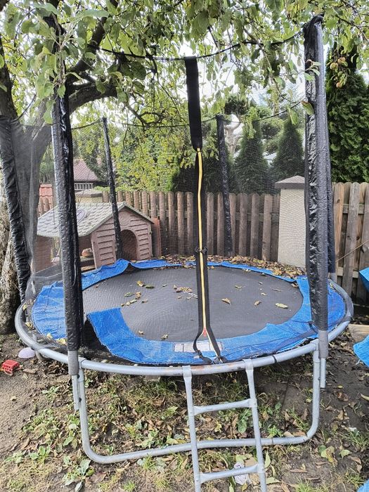 Trampolina 250 cm