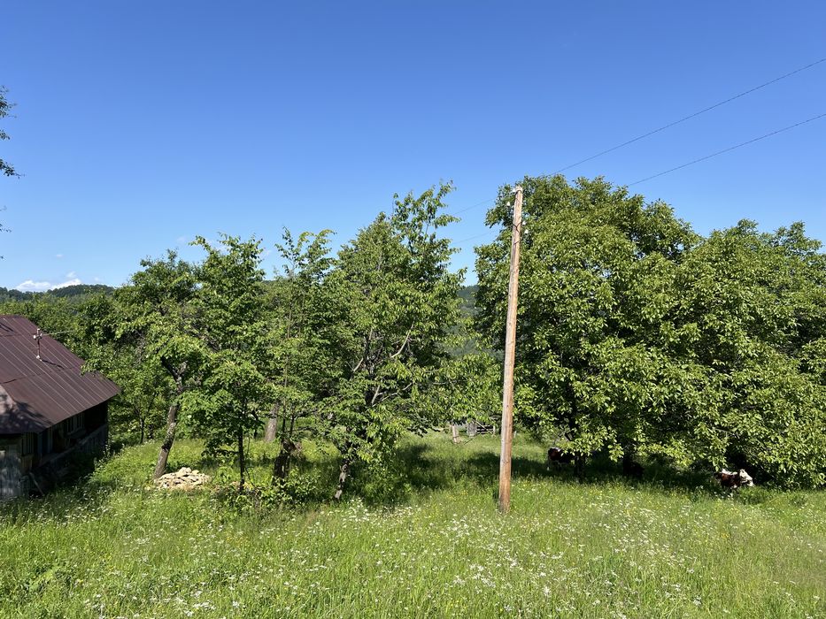 Продам ділянку в горах з гарним краєвидом