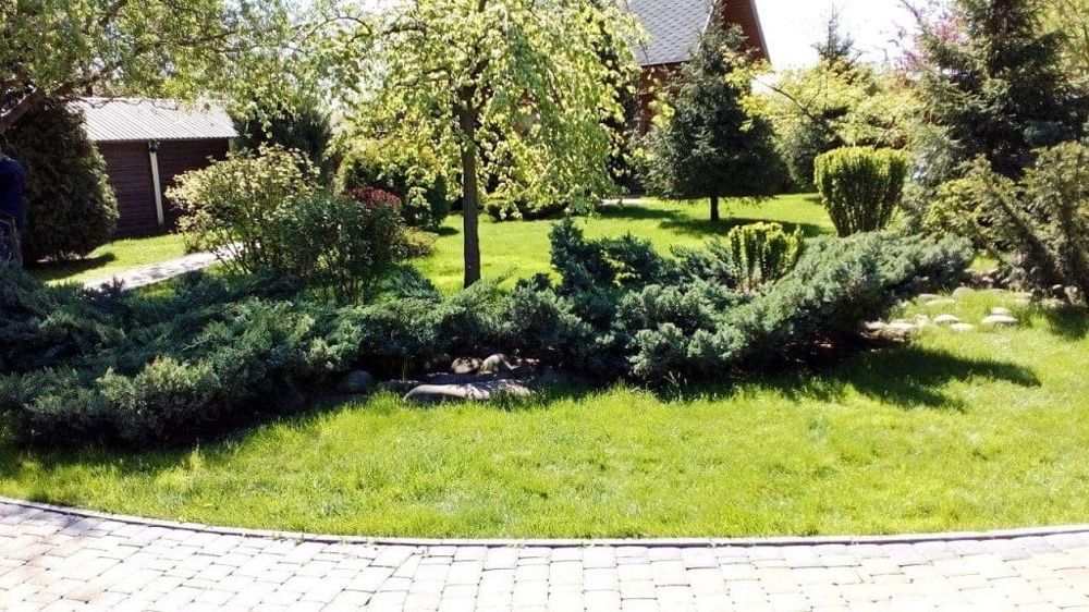 Ландшафтний дизайн. Автополив. Благоустрій ділянок. Газон