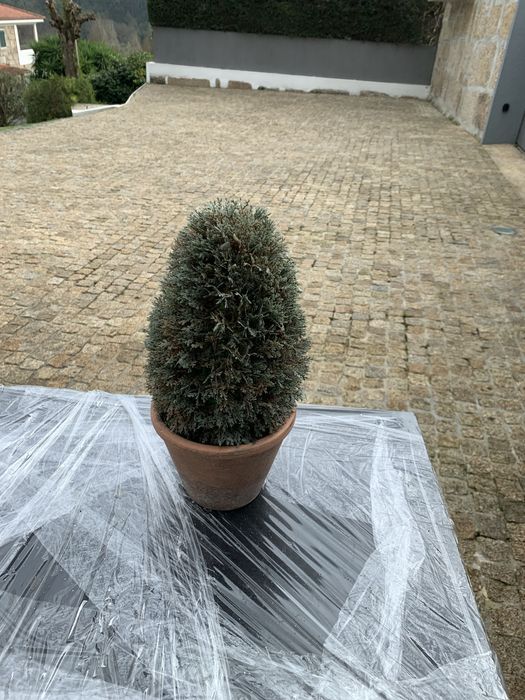 jarras adornos e Arvore natall