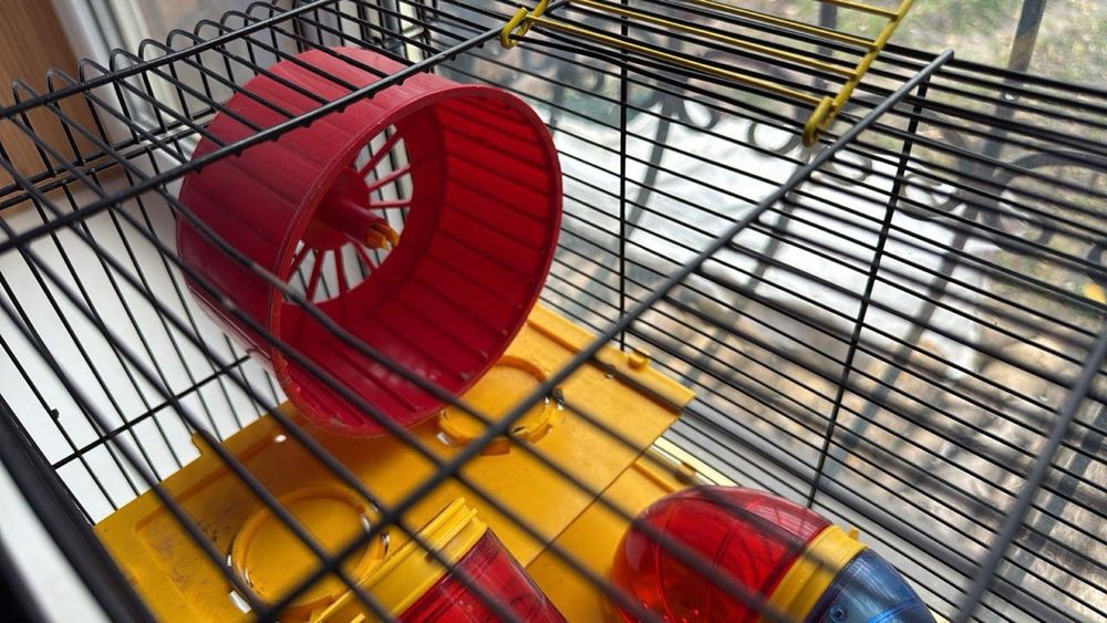 Клітка для гризунів