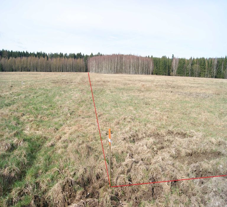 Działka 1,9 ha, z warunkami zabudowy Krzeszów - Widok 4