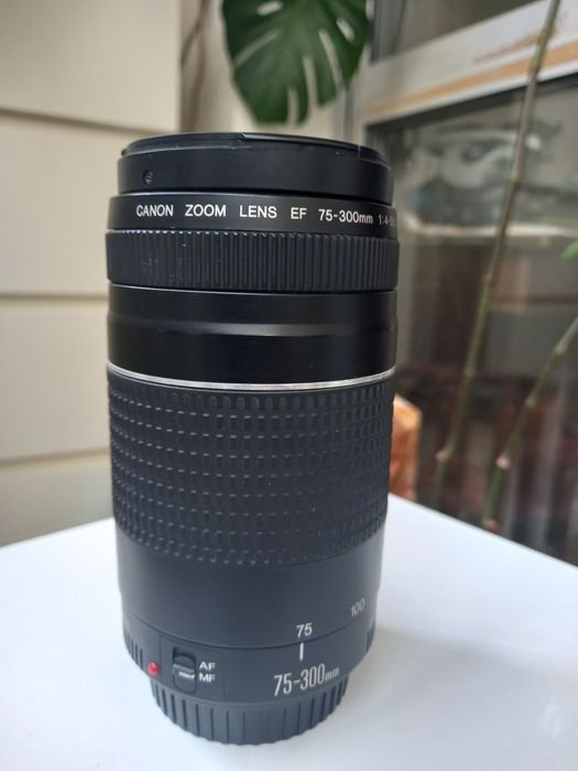 Objetiva Canon Zoom 75-300mm f/4-5.6 Ø58mm versão II