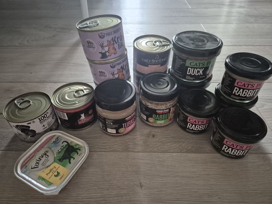 Karma dla kota sucha i mokra