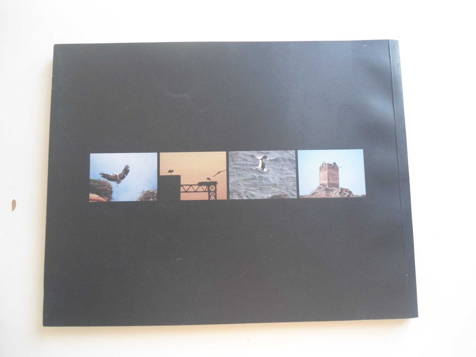 O Silêncio das Cegonhas de Carlos Inácio e Pedro Inácio