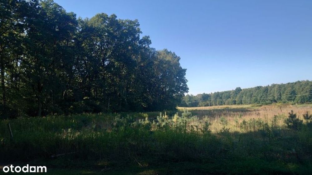 Działka, Piszkawa - Widok 4