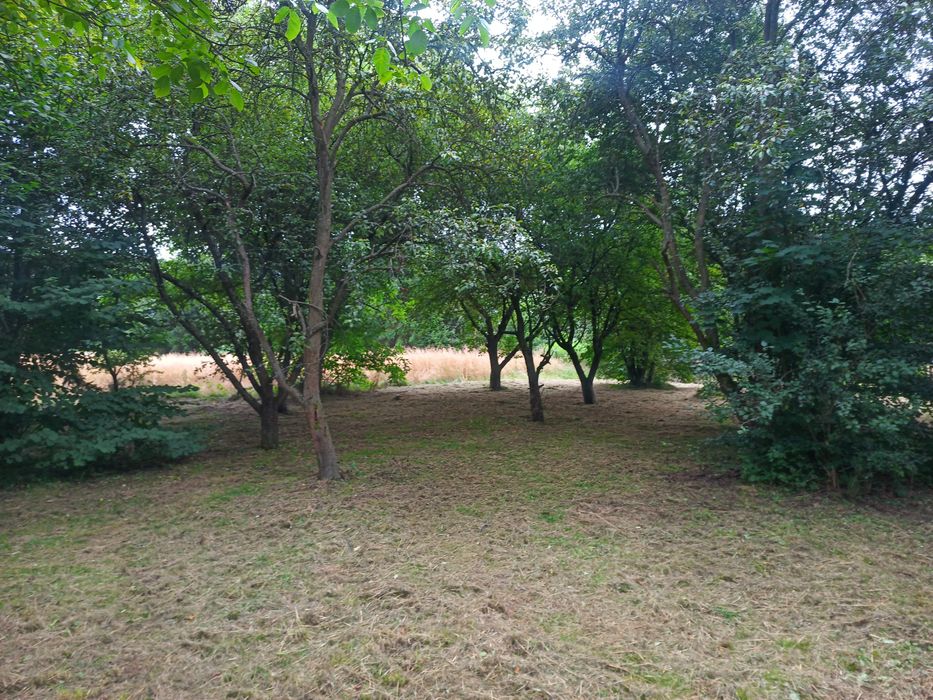 Dom – Jelenia Góra - Widok 4