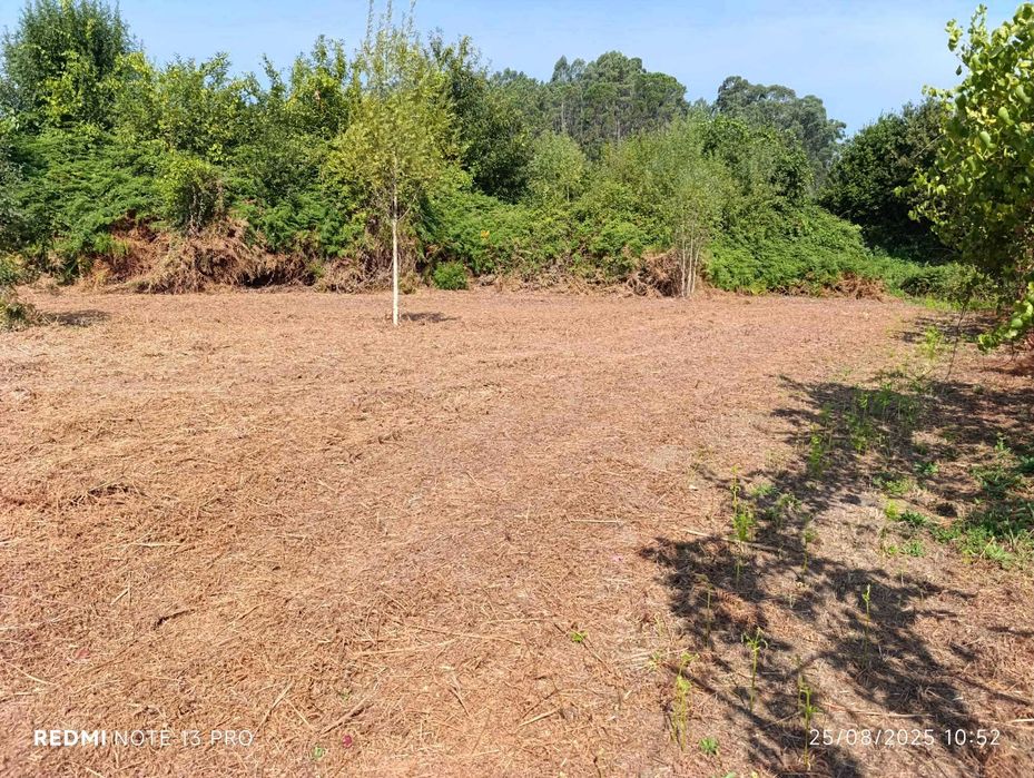 Terreno à venda em Madalena (Jolda)