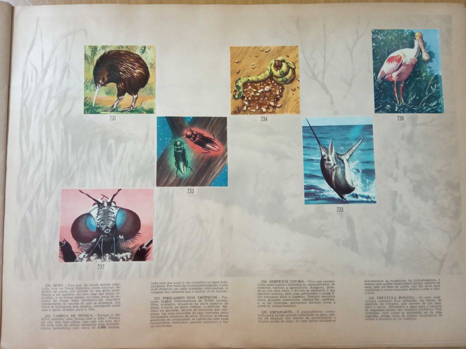 Caderneta de cromos completa Segredos do Mundo Animal