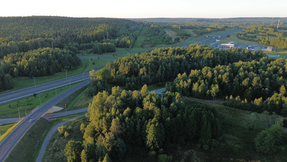 Działka leśna 772 m² Dąbrowa k. Kielc – blisko S7 / Węzła Kielce Północ - Widok 3