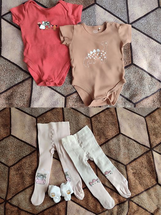 Продам/віддам 3-6 місяців