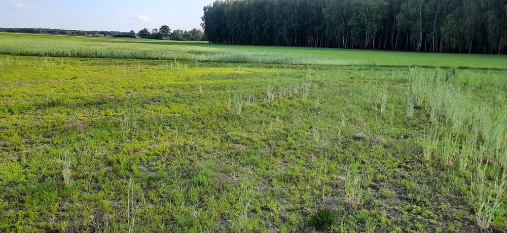 Sprzedam działkę budowlaną 1250m2