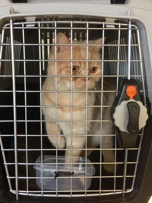 Перевозка  за границу. Европа. Скандинавия