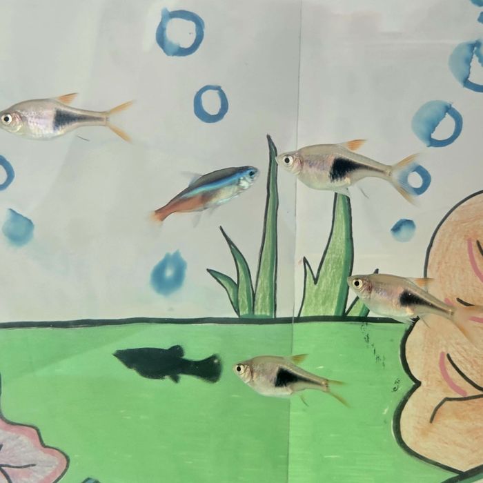 Aquario aquatlantis 60L como novo