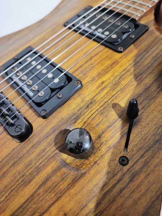 Guitarra Mayones Setius GTM Lizard Custom