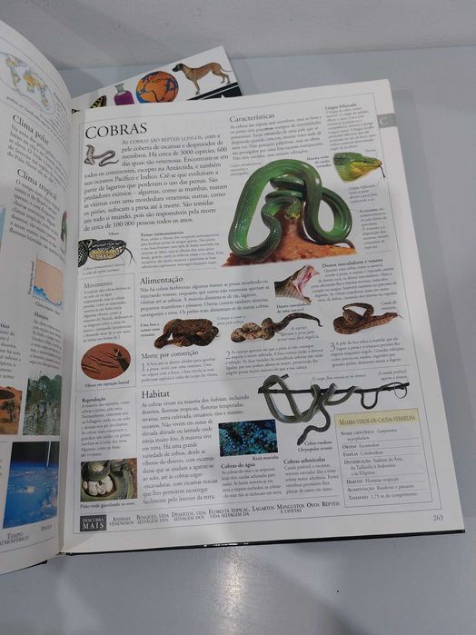 "Enciclopédia Ilustrada da Família" - Círculo de Leitores