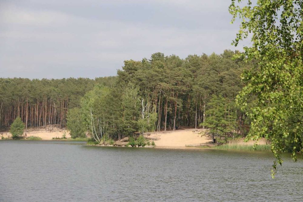 Domek letniskowy angielski/holenderski Kobyla Góra - zalew, weranda, media, wyposażenie, mi - Widok 5