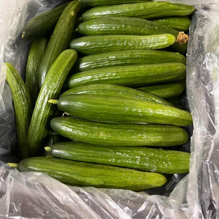 Огурец свежий, Огірок свіжий