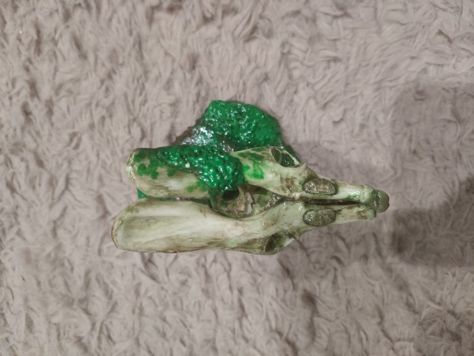 Figurka królik taksydermia taxidermy