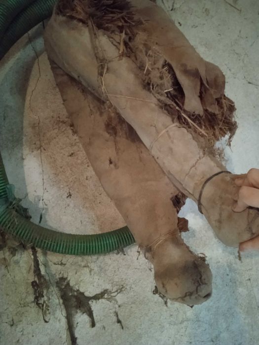 Colar/brunil/molim burro para restauro