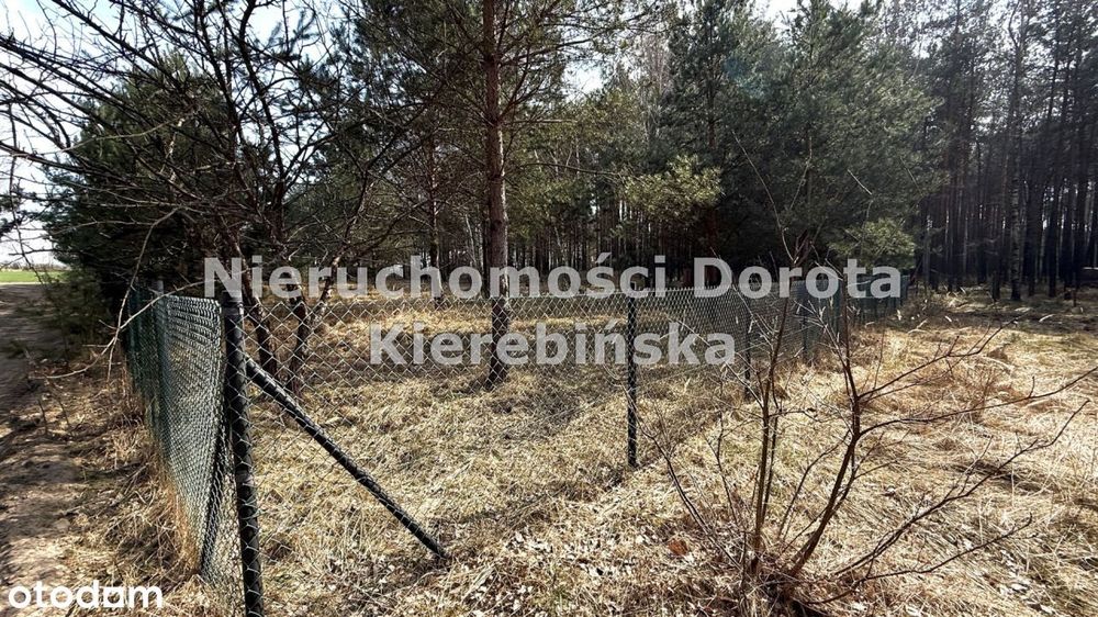 Działka przy lesie z Wz na 3 domy.