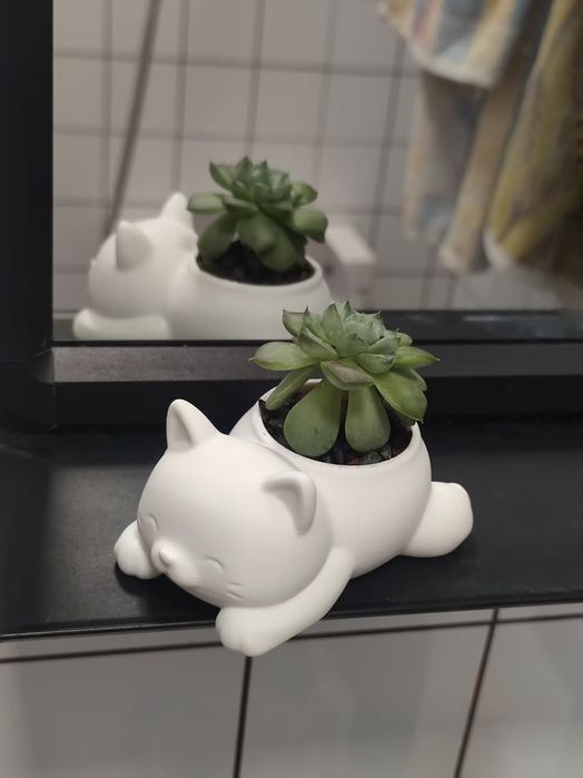 Vaso gatinho suculenta