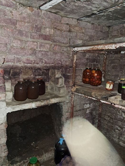 Продам дом в селе ОРЛОВЩИНА.