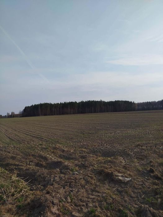 Malczyn gm. Nasielsk.Działki budowlane 2000 m² z WZ – Malczyn