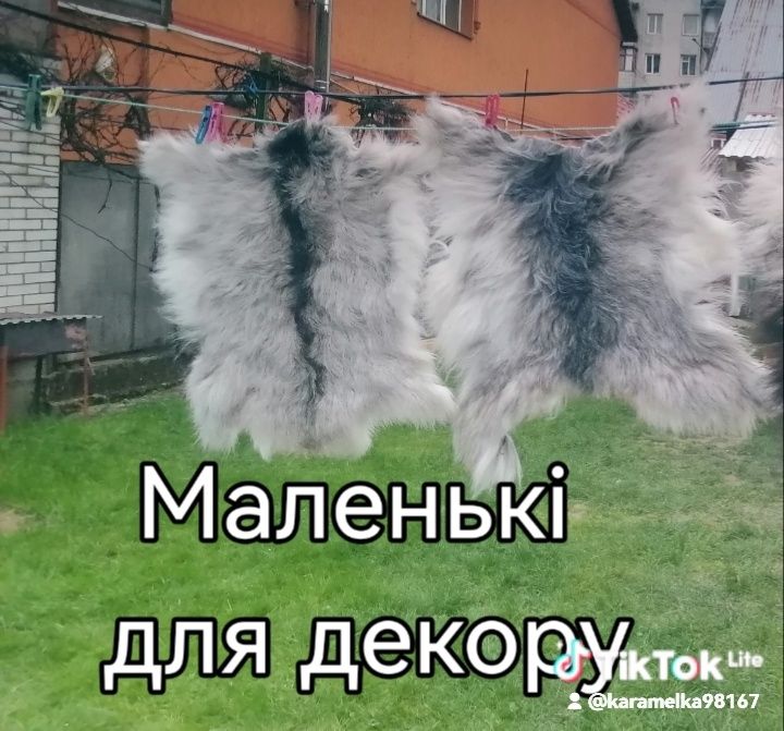 Для декора шикарні баранячу коврики