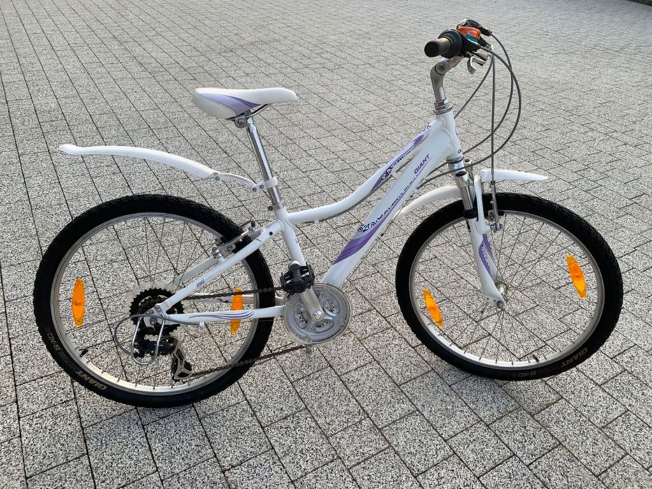 Rower dziecięcy Giant 24’’