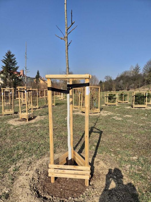 Podpora do drzew KATALP 2,5m – zestaw impregnowany (taśmy + wkręty)