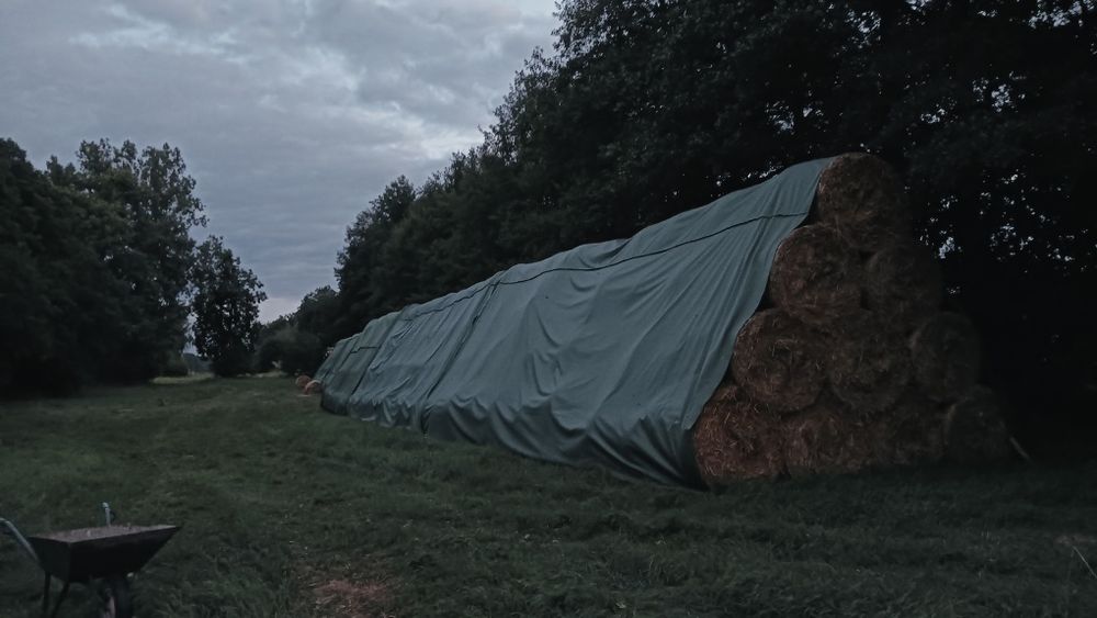 Słoma 120x125 baloty