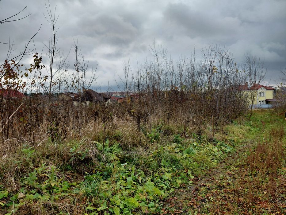 Продається земельна ділянка кленовий гай