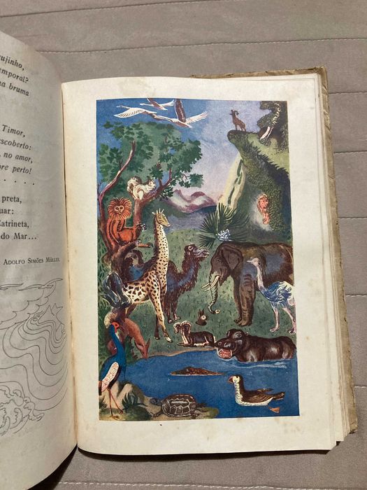 Livros Escolares Antigos História Estado Novo