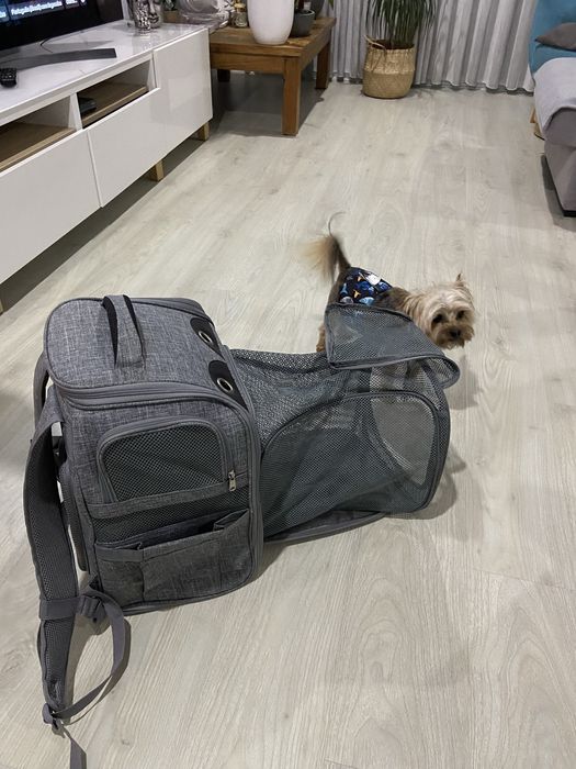 Mochila para transportar cão