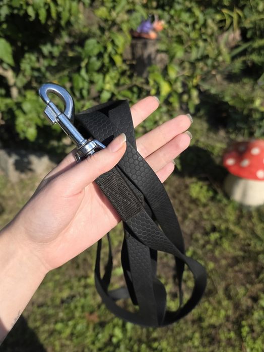нашийник, повідок для собак