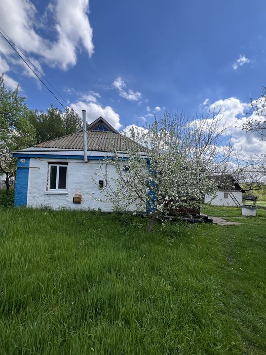 Продається будинок в с.Петропавлівка, Черкаська обл, м.Городище 7 км