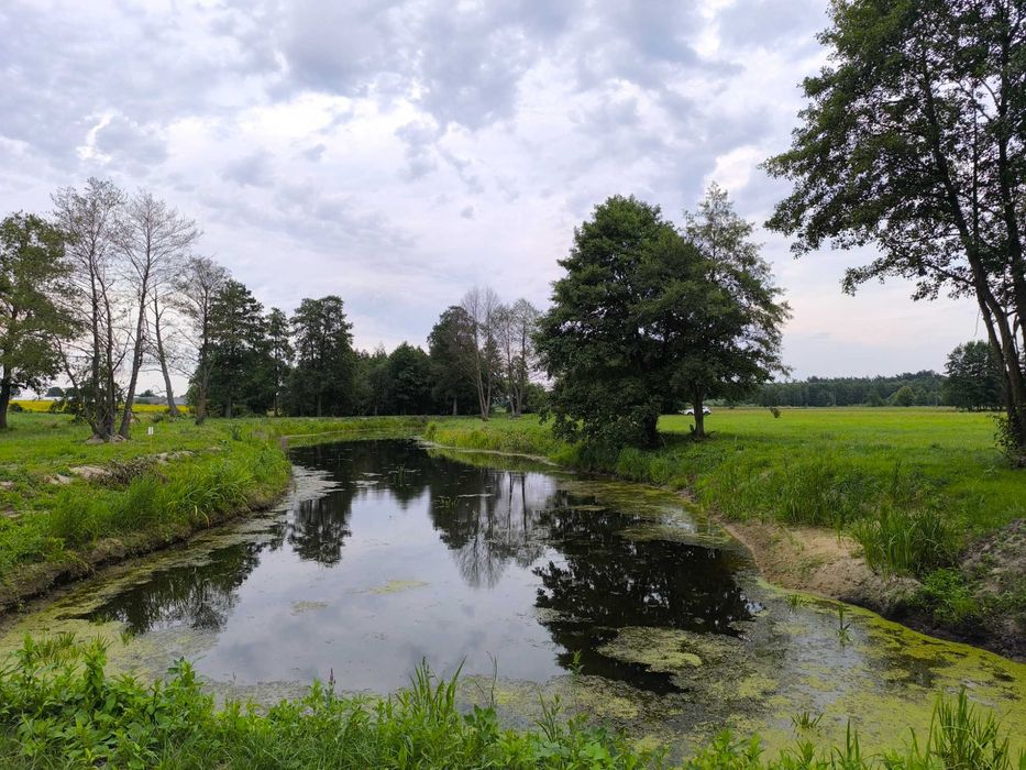 Domki letniskowe z sauną i balią, wieś na Mazowszu 100 km od Warszawy