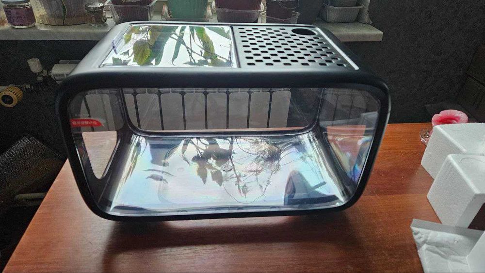 Новый панорамный аквариум / террариум.