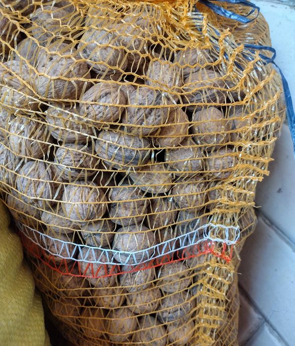 Orzechy włoskie w skorupie 10kg