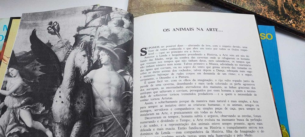 O Mundo Maravilhoso dos Animais (6 Volumes)