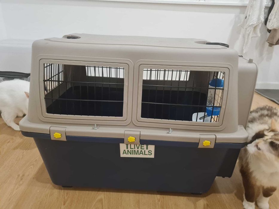 Kennel Dogfly No 5 Novo