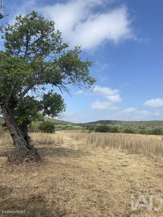 Terreno em Santa Catarina da Fonte do Bispo de 10000,00 m2