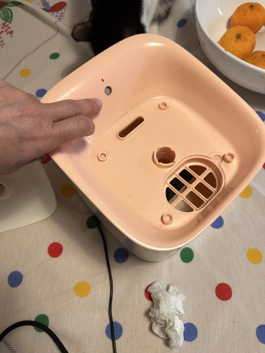 Fonte de água/bebedouro para animais
