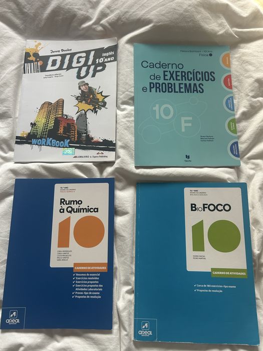 Cadernos de Atividades 10 ano