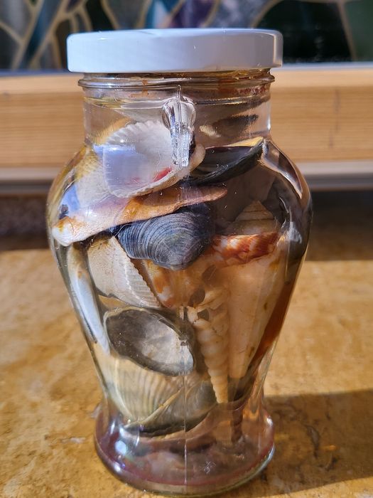 Морской подарок с ракушками